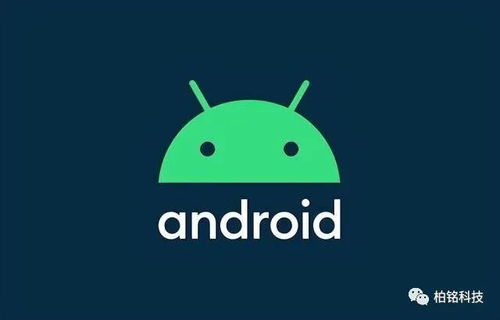 國(guó)產(chǎn)軟件的遮羞布 大部分基于開(kāi)源軟件修改,甚至采用美國(guó)軟件