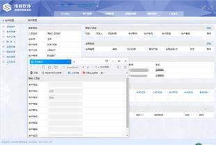 有沒(méi)有可以按照需求定做進(jìn)銷存軟件的