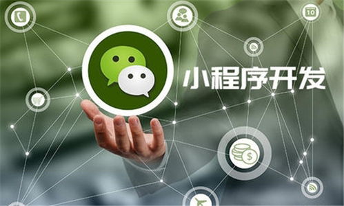 河南微諾科技程序開發(fā)報(bào)價(jià)專業(yè)嗎